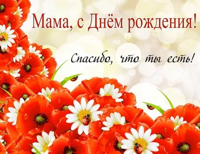 С Днем Рождения, мама! Фото и стихи, чтобы подарить улыбку