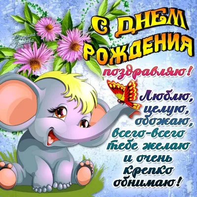 Новые фото для поздравления с Днем Рождения племяша. Выбери формат: JPG, PNG, WebP.