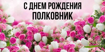    23. **Поздравление с Днем Рождения Полковник: Новое изображение в формате PNG, JPG, WebP**