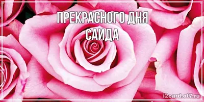 Фотоотчет: поздравления с Днем Рождения Саида Картинки.