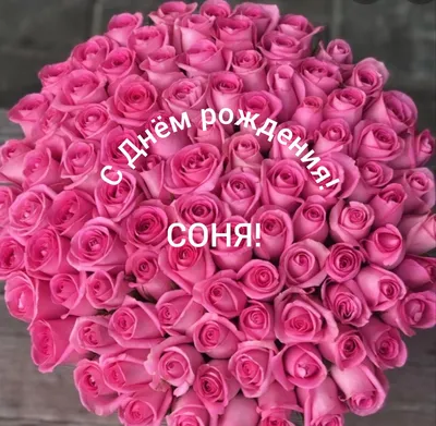 Новые фото с поздравлениями С Днем Рождения Сонечка - в формате JPG, PNG, WebP