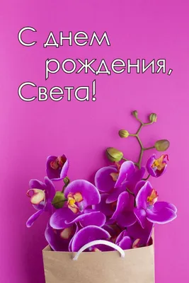 Фото в формате JPG, PNG, WebP для поздравления Светы