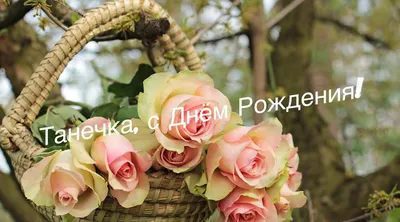 **Фотоотчет с Дня Рождения Танюшки: уникальные моменты в фотографиях**