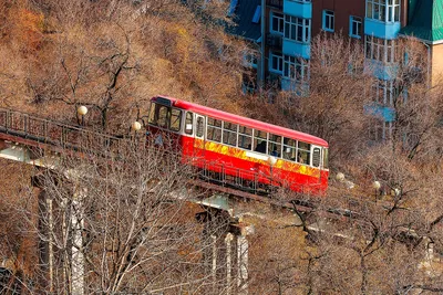 Фото с поздравлениями на День Рождения во Владивостоке 2024 - Фото, картинка, изображения, фотк, фотография, арт, HD, Full HD, 4K, 2024, Скачать, бесплатно, в хорошем качестве, png, jpg, webp