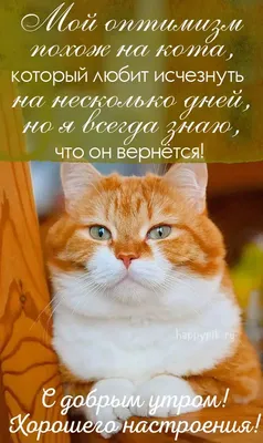 Утренние изображения для поднятия духа!