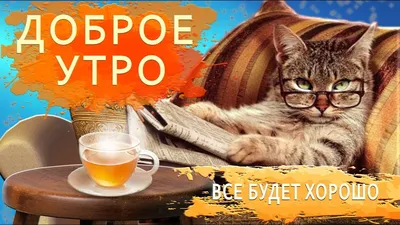 #### Заголовки для страницы с фото С добрым утром шуточные картинки