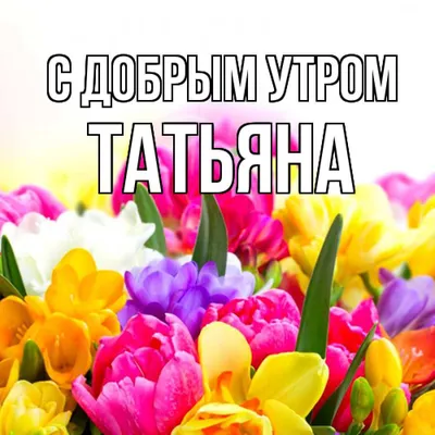 Утренние фото Татьяна - выберите формат: JPG, PNG, WebP