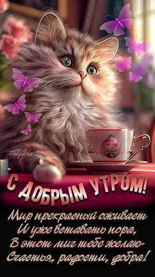 Утренние фото Татьяна - выберите формат: JPG, PNG, WebP