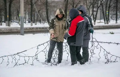 Гирлянда на улице с яркими цветами - фотография JPG, размер L