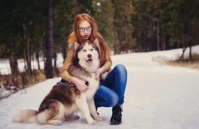 Хаски в метелях: Зимний фотоотчёт