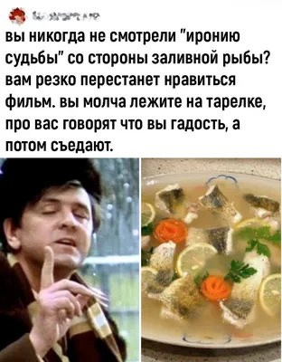 Новые смешные фото для развлечения. Выбери размер и скачай в JPG, PNG, WebP.