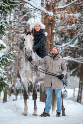 Волшебство зимней природы с участием лошади