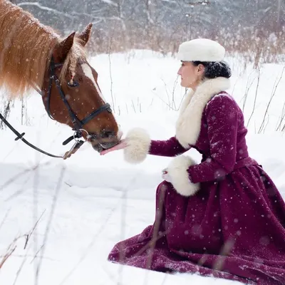 Лошадь под снежным одеялом: фотография высокого разрешения