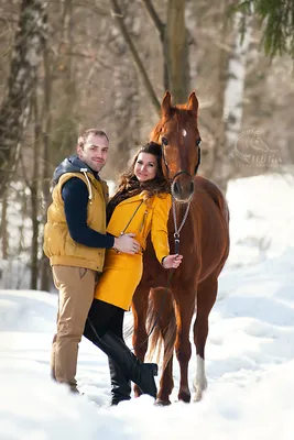 Зимнее вдохновение: лошадь на фото в различных форматах