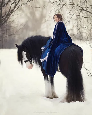 Фото зимнего конного путешествия с лошадью