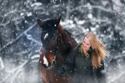 Фотография лошади в снежной поляне: JPG, PNG, WebP на ваш выбор