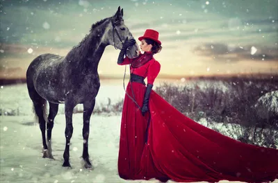 Зимний фотопортрет лошади в разных размерах