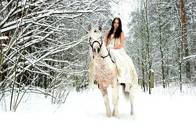 Лошадь в снежной сказке: разные размеры и форматы