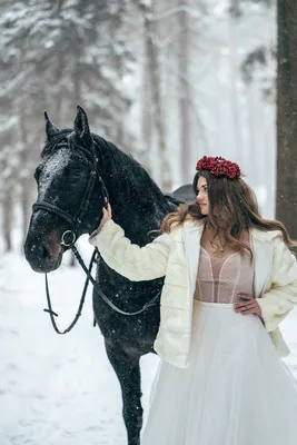 Фотография лошади в зимнем украшении: форматы JPG, PNG, WebP