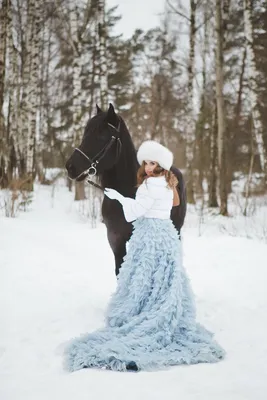 Зимний эпос: фото лошади в разных форматах