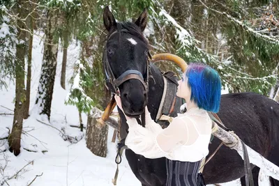 Фотография зимней прогулки лошади: JPG, PNG, WebP