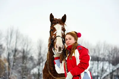 Лошадь в зимней фантазии: картинка с опцией формата