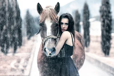 Зимняя элегия: лошадь на изображении с выбором формата