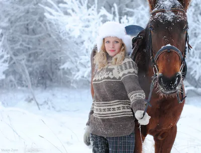 Зимний портрет лошади: JPG, PNG, WebP на выбор