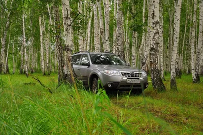 Уникальный кадр с автомобилем в природном окружении