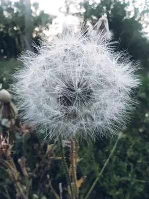 Фотография дня в 4K разрешении