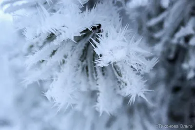 Фотографии зимнего настроения: загрузка в любом формате