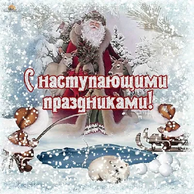 С наступающим новым годом! Смешные картинки для поднятия настроения