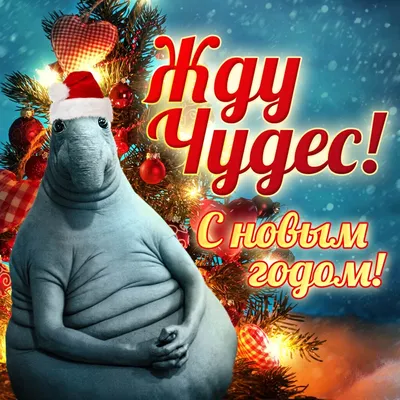 С наступающим новым годом! Смешные картинки для скачивания