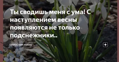 Красочные изображения весенней природы