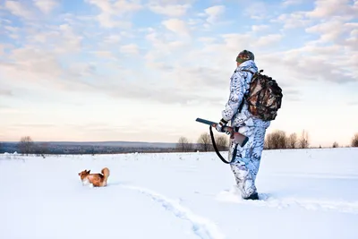 Зимняя охота: Великолепные фотографии