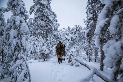 Узоры природы: Фотографии с охоты зимой