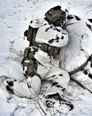 Фотографии с охоты зимой: Ваши трофеи в разных размерах