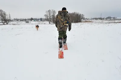 Искусство зимней охоты: 10 потрясающих фото