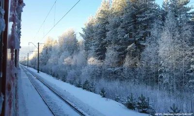 Зимние чудеса за окном поезда