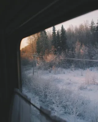 Великолепие зимнего пейзажа из окна поезда