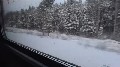 Зимний момент: зафиксировано из окна поезда