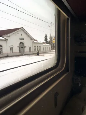 Зимний этюд: вид из поезда на заснеженные просторы