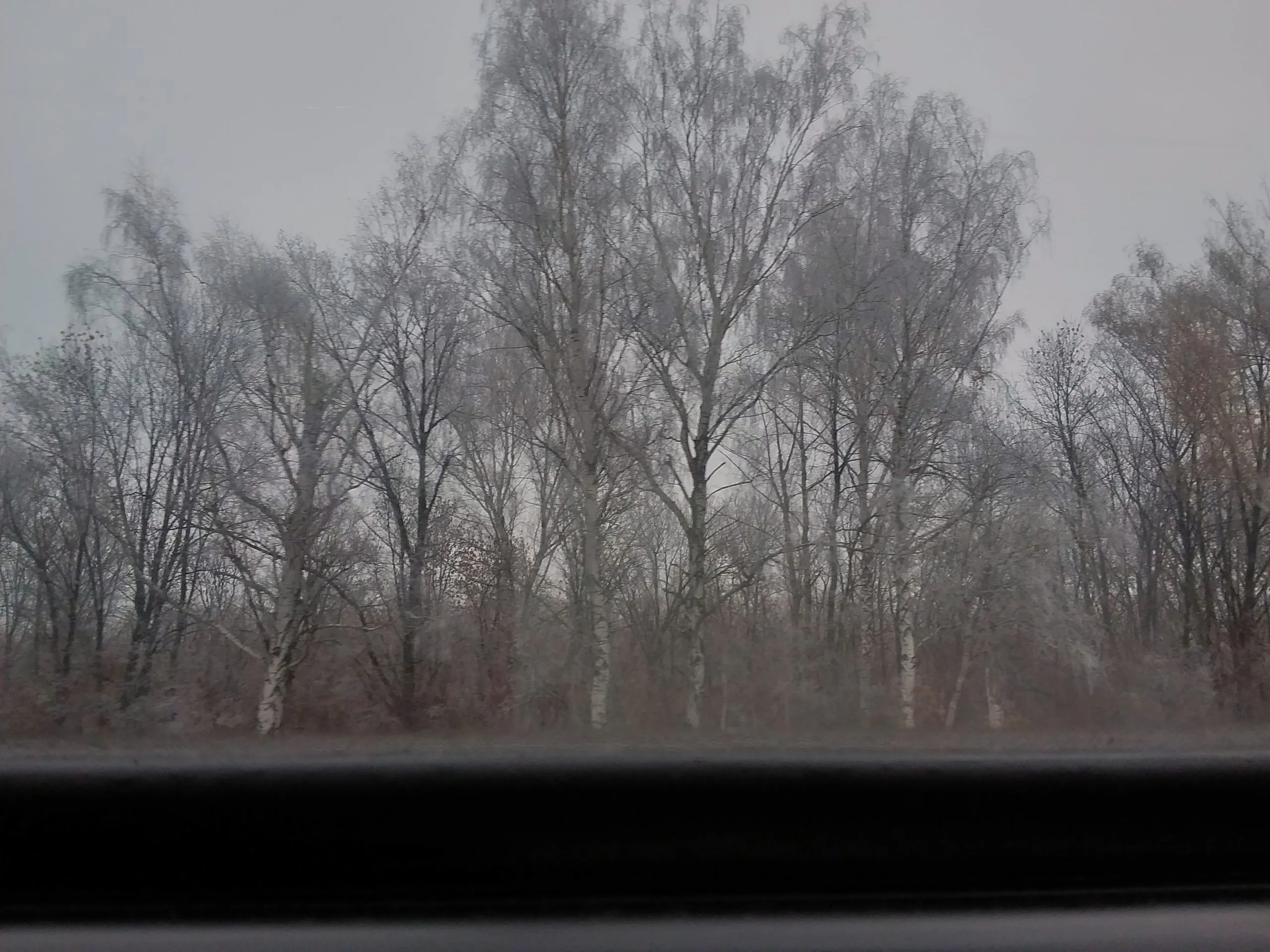 Фото из окна поезда зимой.