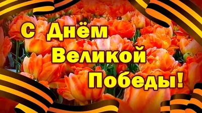 Бесплатные картинки Праздника 9 Мая в хорошем качестве