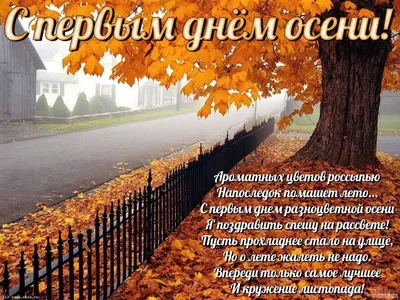 Картинки С Праздником Осени: выберите изображение и скачайте в нужном формате