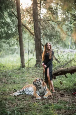 С тигром москва  фото