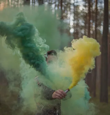 Интересные изображения с цветным дымом в лесу: новое фото для скачивания - JPG, PNG, WebP