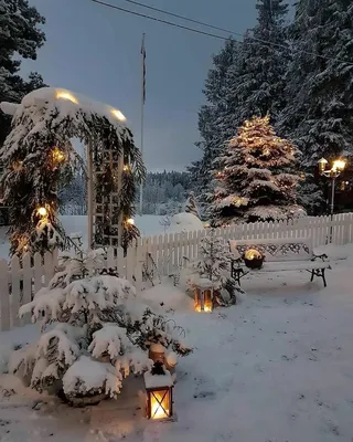 Фото сада в зимний вечер: Волшебство снежных лучей