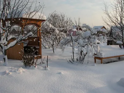 Фото снежного умиротворения: Зимний кайф от природы
