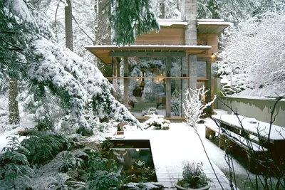 Зимний сад в формате JPG: Снежные сцены в высоком качестве